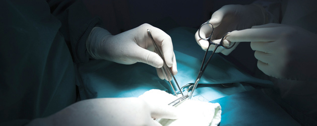 Webinar – Chirurgie endoscopique de l'endométriose, du plus simple au plus compliqué – Medtronic